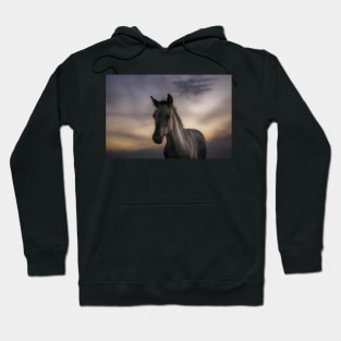 Excuse me, do you speak equus? Hoodie